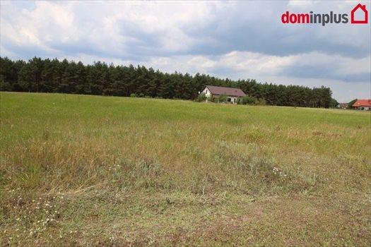 Działka inna na sprzedaż Sąsieczno 1 500m2 Foto 3