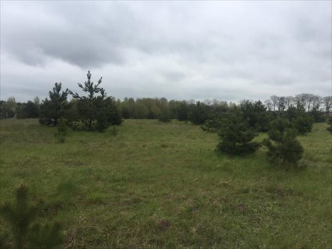 Działka inna na sprzedaż Czerniewo, CZERNIEWO, XXXXX 1 500m2 Foto 5