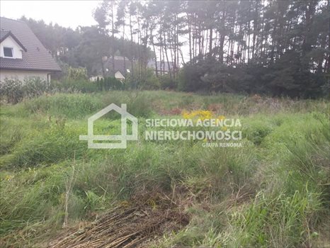 Działka budowlana na sprzedaż Bojano 1 068m2 Foto 3