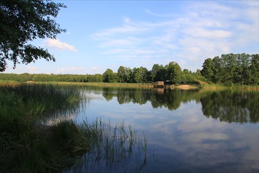 Działka rekreacyjna na sprzedaż Łąkie 1 500m2 Foto 5