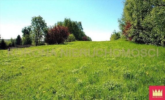 Działka komercyjna na sprzedaż Rybnik 11 783m2 Foto 2