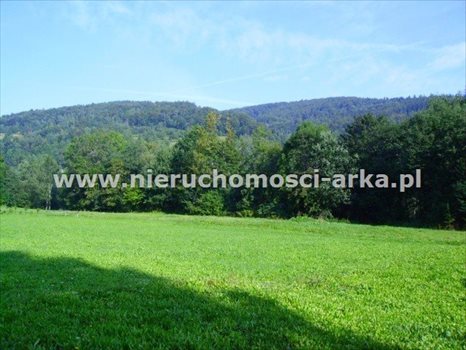 Działka budowlana na sprzedaż Gruszowiec 3 400m2 Foto 2