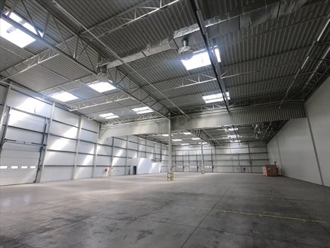 Lokal użytkowy na wynajem Konin, ul. bł. Maksymiliana Kolbego 2 431m2 Foto 3