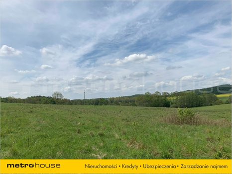 Działka inna na sprzedaż Trzepowo, Przywidz 20 639m2 Foto 4