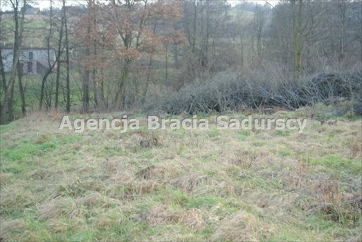 Działka budowlana na sprzedaż Trąbki 2 300m2 Foto 4