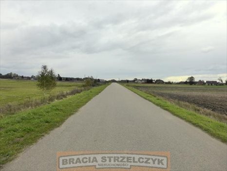 Działka rolna na sprzedaż Trzepowo 6 000m2 Foto 2