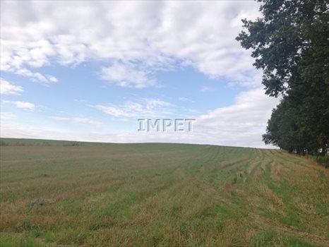 Działka rolna na sprzedaż Dłużyna Dolna 17 069m2 Foto 5