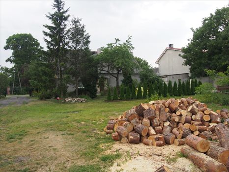 Dom na sprzedaż Przybysław 120m2 Foto 6