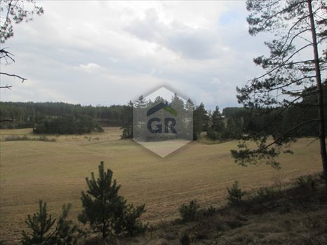 Działka rolna na sprzedaż Gołubie 114 900m2 Foto 3