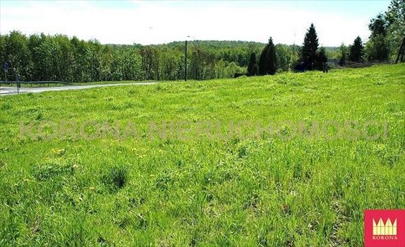 Działka komercyjna na sprzedaż Rybnik 11 783m2 Foto 5