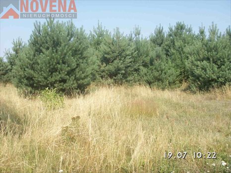 Działka rolna na sprzedaż Radecz, Radecz 53 000m2 Foto 1