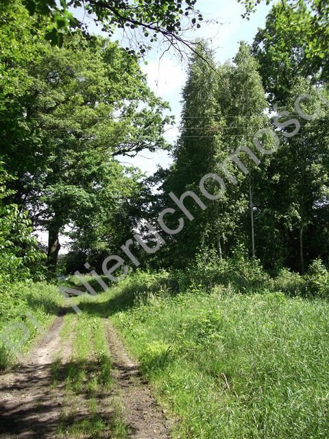Działka budowlana na sprzedaż Książenice 1 600m2 Foto 3