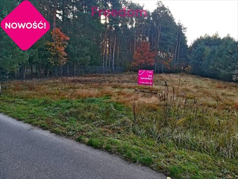Działka budowlana na sprzedaż Bełchów 13 500m2 Foto 2