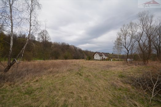 Działka rekreacyjna na sprzedaż Nowe Sady 2 900m2 Foto 4