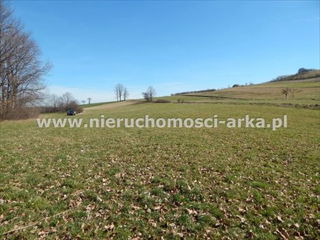 Działka budowlana na sprzedaż Skrzydlna 1 868m2 Foto 2