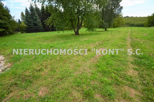 Działka budowlana na sprzedaż Giebułtów, Graniczna 2 000m2 Foto 2