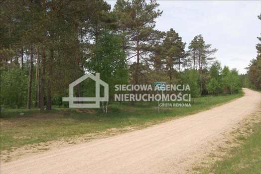 Działka leśna na sprzedaż Czarniż 44 100m2 Foto 1