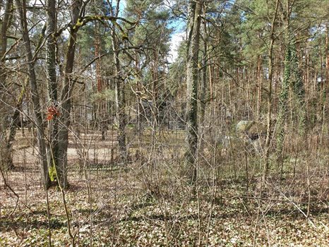Działka budowlana na sprzedaż Zalesie Górne, Urocza 2 661m2 Foto 2