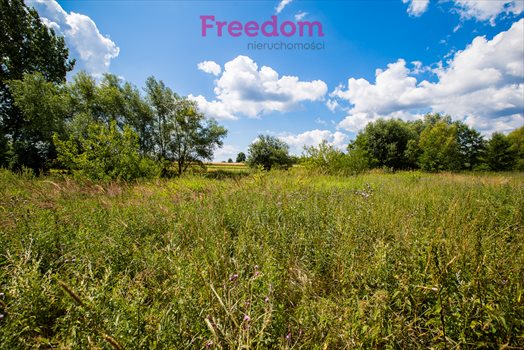 Działka budowlana na sprzedaż Boguchwała, Partyzantów 4 700m2 Foto 3