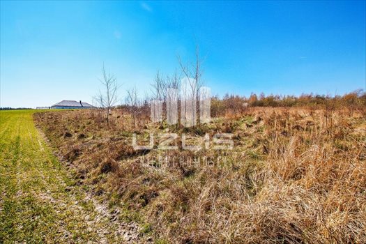 Działka inna na sprzedaż Starogard Gdański, Rolna 2 121m2 Foto 9