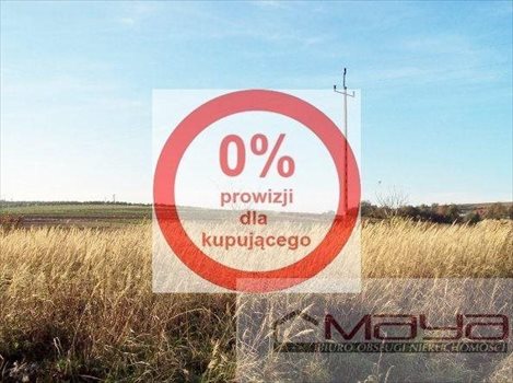 Działka budowlana na sprzedaż Cianowice Duże 4 800m2 Foto 3