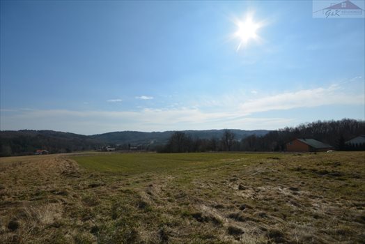 Działka rekreacyjna na sprzedaż Drohobyczka 5 800m2 Foto 4