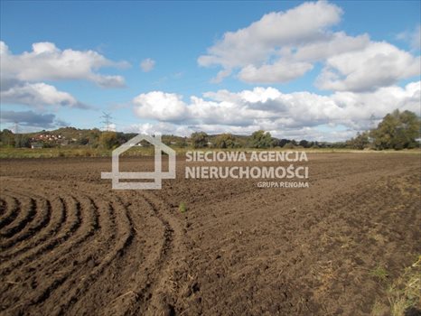 Działka rolna na sprzedaż Gdańsk, Lipce 44 000m2 Foto 8