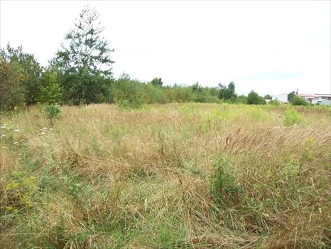 Działka budowlana na sprzedaż Wrocław, Maślice, Mieszkaniowa Dla Dewelopera 33 000m2 Foto 3