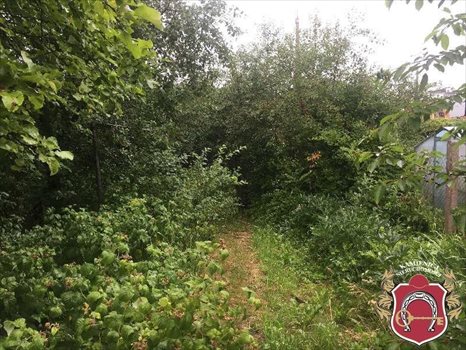 Działka budowlana na sprzedaż Gdynia, okolice Spokojnej 541m2 Foto 5