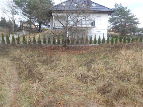 Działka budowlana na sprzedaż Poznań, Zieliniec, Sarnia 1 029m2 Foto 2