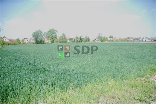 Działka budowlana na sprzedaż Rogów Sobócki 1 640m2 Foto 3