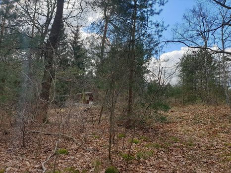 Działka budowlana na sprzedaż Zalesie Górne, Urocza 2 661m2 Foto 4