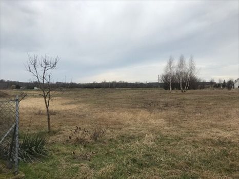 Działka budowlana na sprzedaż Radogoszcz 3 064m2 Foto 4
