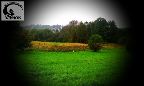 Działka budowlana na sprzedaż Gaj 1 000m2 Foto 6