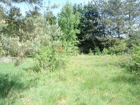 Działka inna na sprzedaż Biały Ług 4 100m2 Foto 5