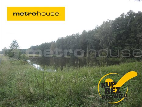 Działka siedliskowa na sprzedaż Luciny, Śrem 10 039m2 Foto 1