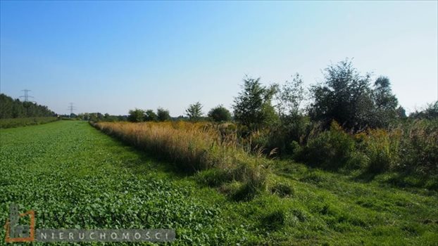 Działka budowlana na sprzedaż Bibice 2 397m2 Foto 1
