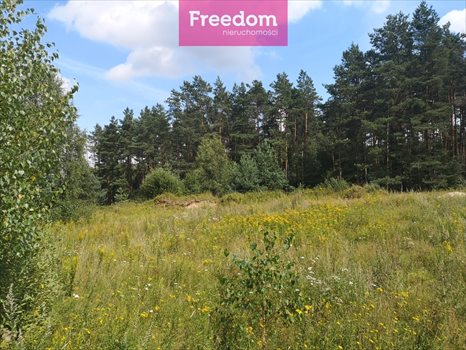 Działka budowlana na sprzedaż Orzechowo 25 000m2 Foto 4