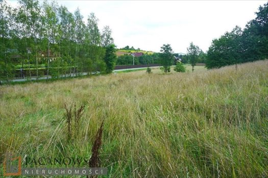 Działka budowlana na sprzedaż Michałowice 2 000m2 Foto 1