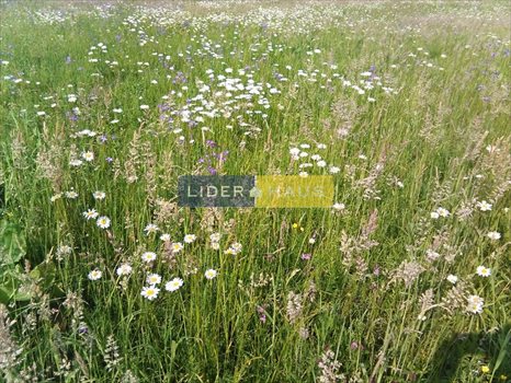 Działka inna na sprzedaż Izabelin-Dziekanówek 1 230m2 Foto 1