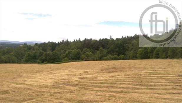 Działka rekreacyjna na sprzedaż Kalwaria Zebrzydowska 11 283m2 Foto 3