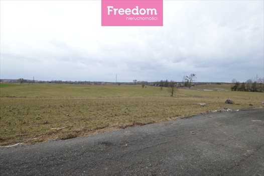 Działka inna na sprzedaż Mierki 3 004m2 Foto 4