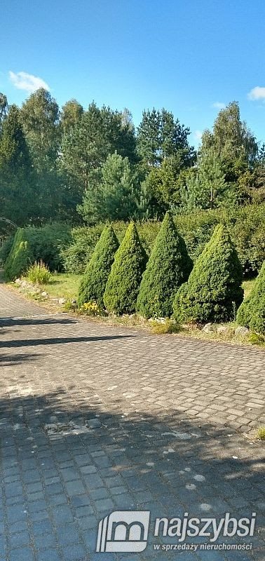 Dom na sprzedaż Sikorzyno 140m2 Foto 2