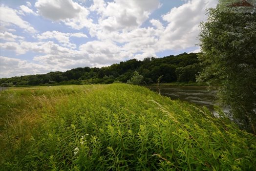 Działka rekreacyjna na sprzedaż Bachórzec 3 600m2 Foto 6