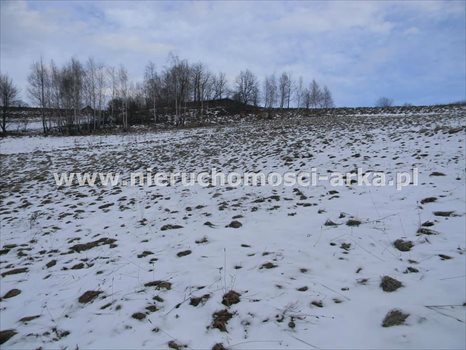 Działka budowlana na sprzedaż Walowa Góra 4 800m2 Foto 3