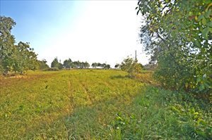 Dom na sprzedaż Siecień 30m2 Foto 4
