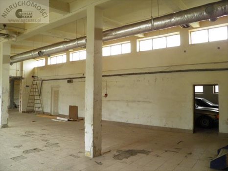 Lokal użytkowy na wynajem Mińsk Mazowiecki 600m2 Foto 6