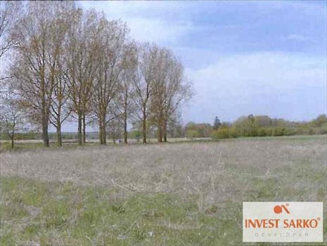 Działka inna na sprzedaż Połchowo, Ul.Pucka 39 800m2 Foto 6
