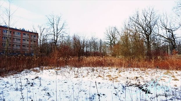Działka inna na sprzedaż Zabrze, Śródmieście 5 635m2 Foto 9