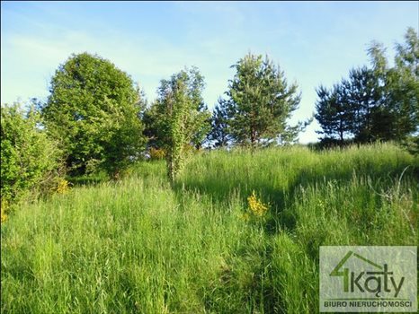 Działka budowlana na sprzedaż Jemiołowo, Jemiołowo, Jemiołowo 19 300m2 Foto 1